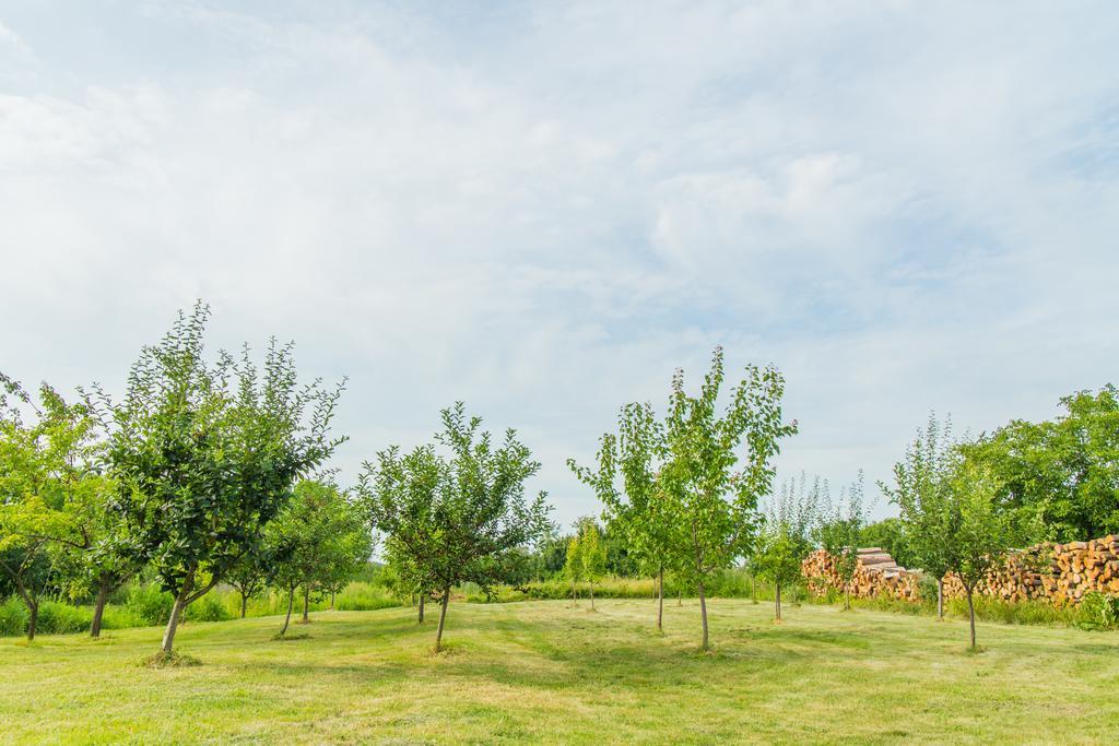 Garden Holiday Home Drenje  Buitenkant foto